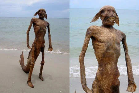 Thực hư quái vật người cá được rao bán giá cả nghìn USD ảnh 8